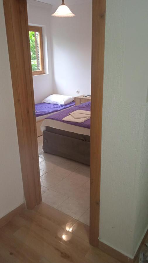 Apartments Jovana Petrovac Eksteriør bilde